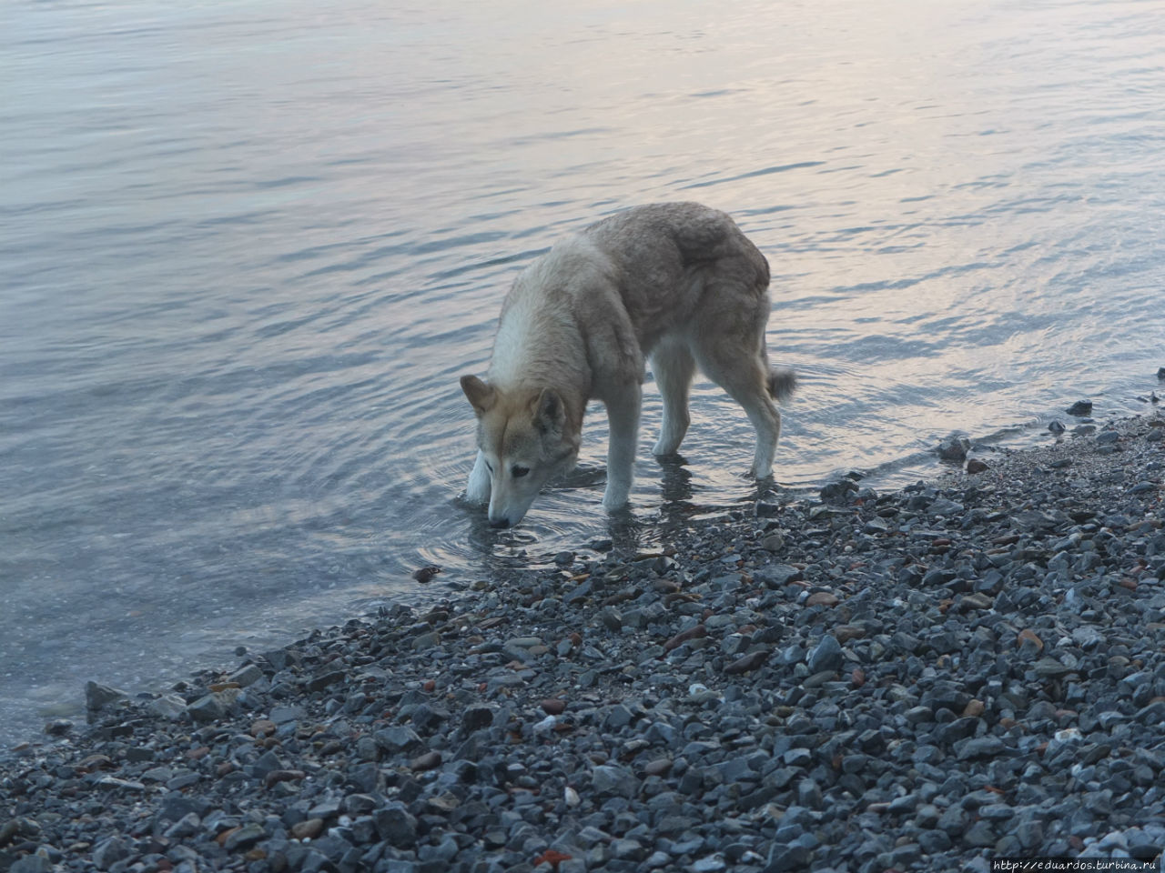 Туман над Енисеем Красноярск, Россия