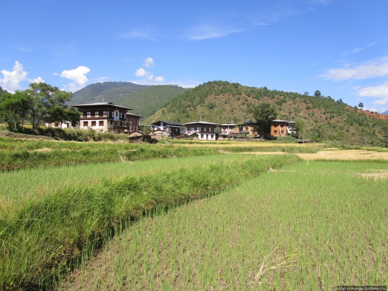 Храм Пунакха, Бутан