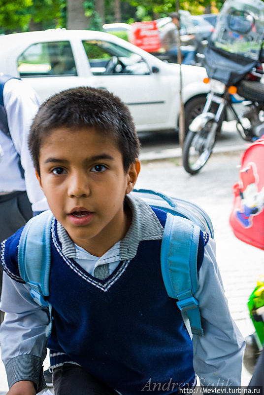 Сад Эрам (Bagh-e Eram, райский сад) Шираз, Иран