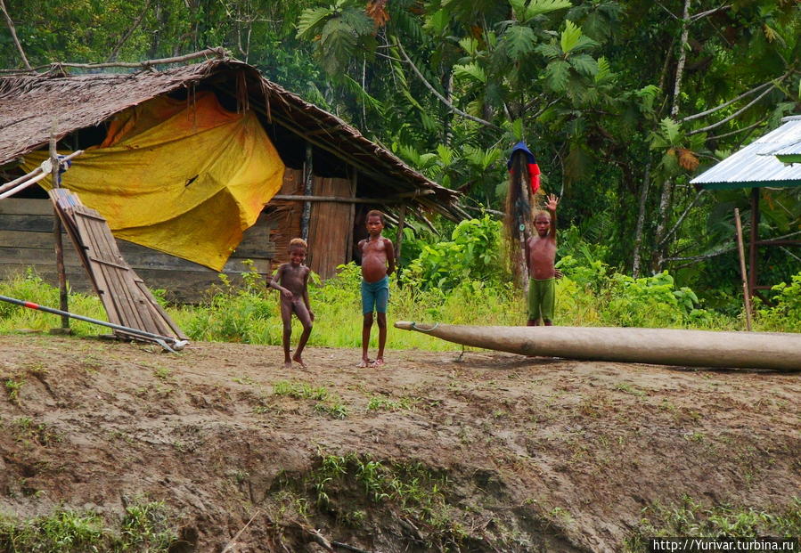 Дети племени Ситак Митак Джайпура, Индонезия