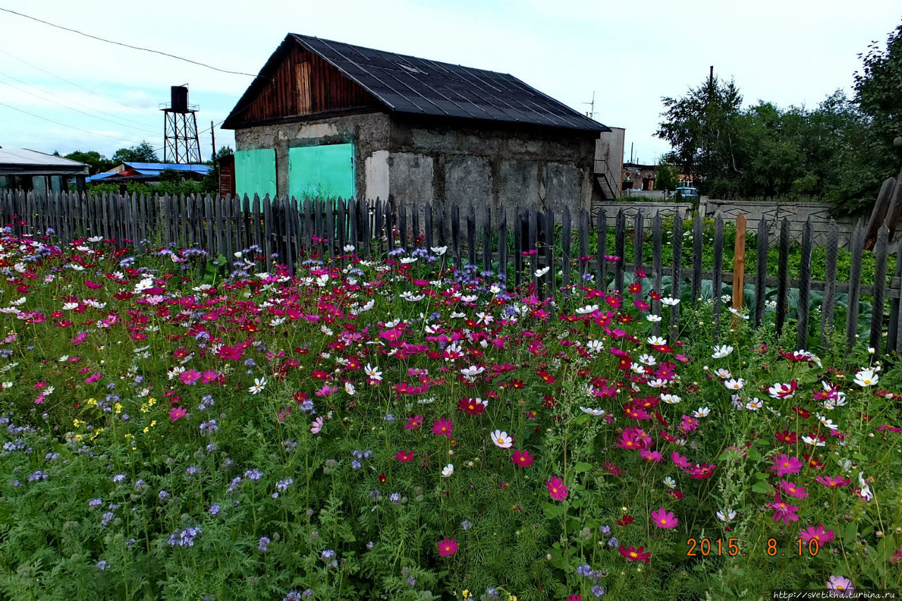 Моя незабвенная Камчатка летом Петропавловск-Камчатский, Россия