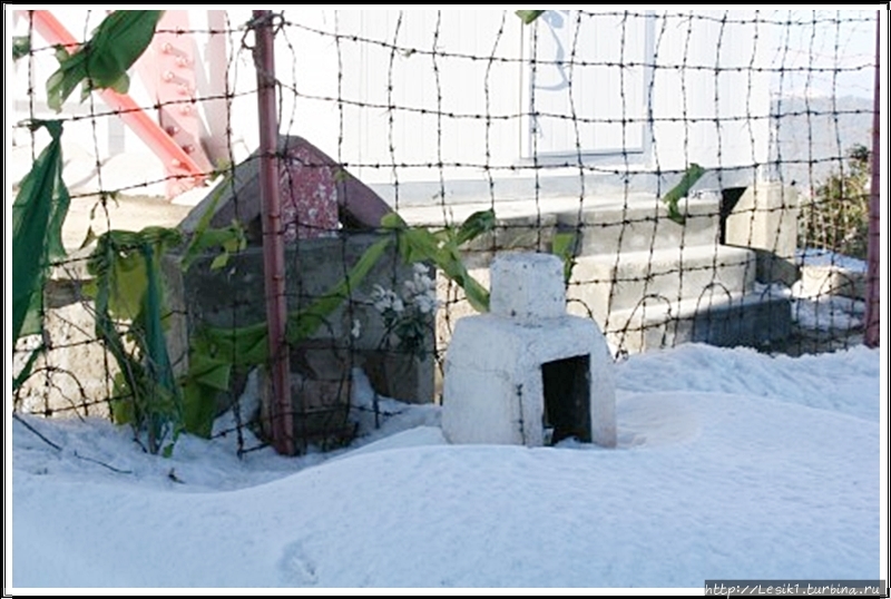 Фото из интернета