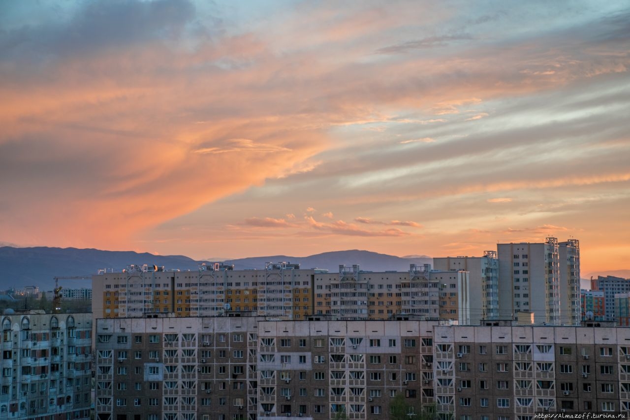 Горы в карантине! Иле-Алатауский Национальный Парк, Казахстан