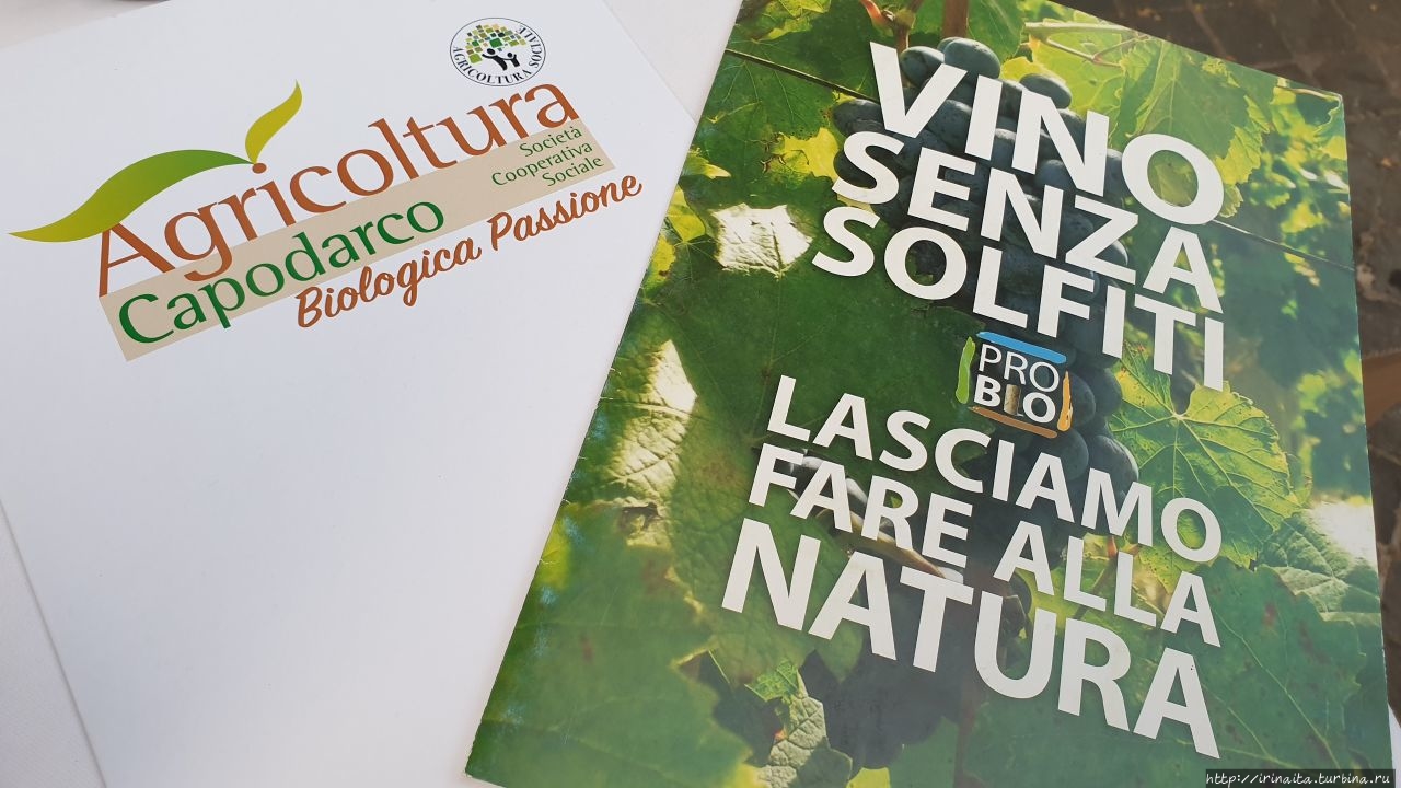 ВИНОДЕЛЫ В ПРАВОСЛАВНОМ МОНАСТЫРЕ ПОД РИМОМ Гроттаферрата, Италия ВИНОДЕЛЫ В ПРАВОСЛАВНОМ МОНАСТЫРЕ ПОД РИМОМ Гроттаферрата, Италия