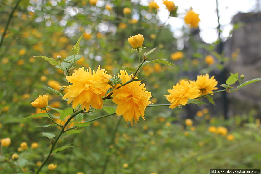 Весенняя Германия Германия