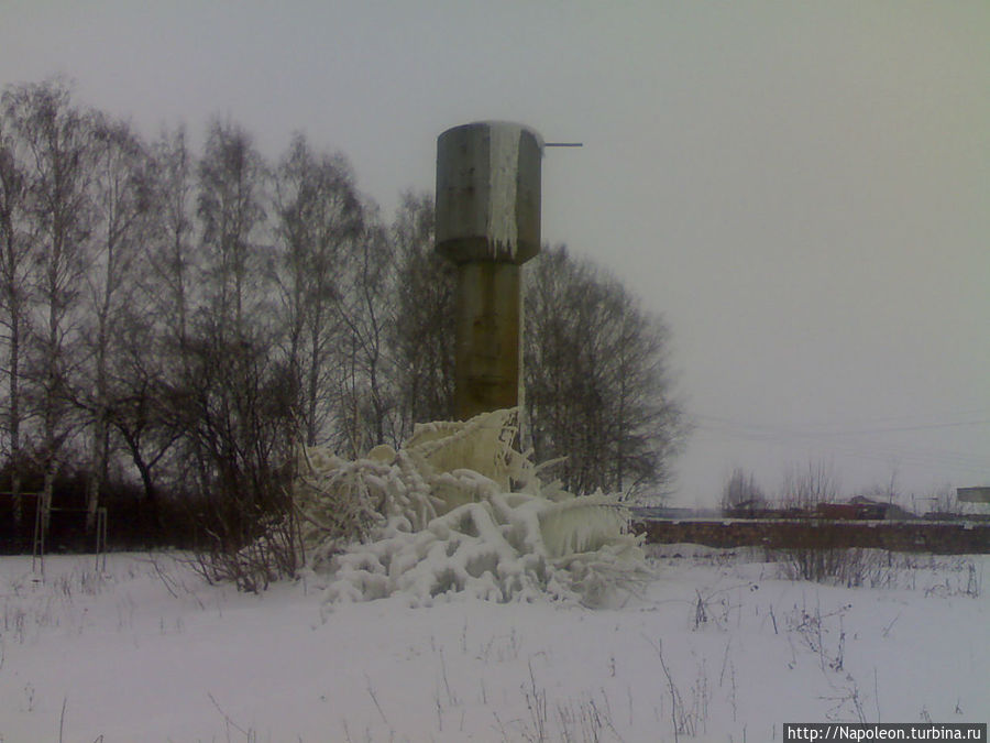 Песня моржа Рязанская область, Россия