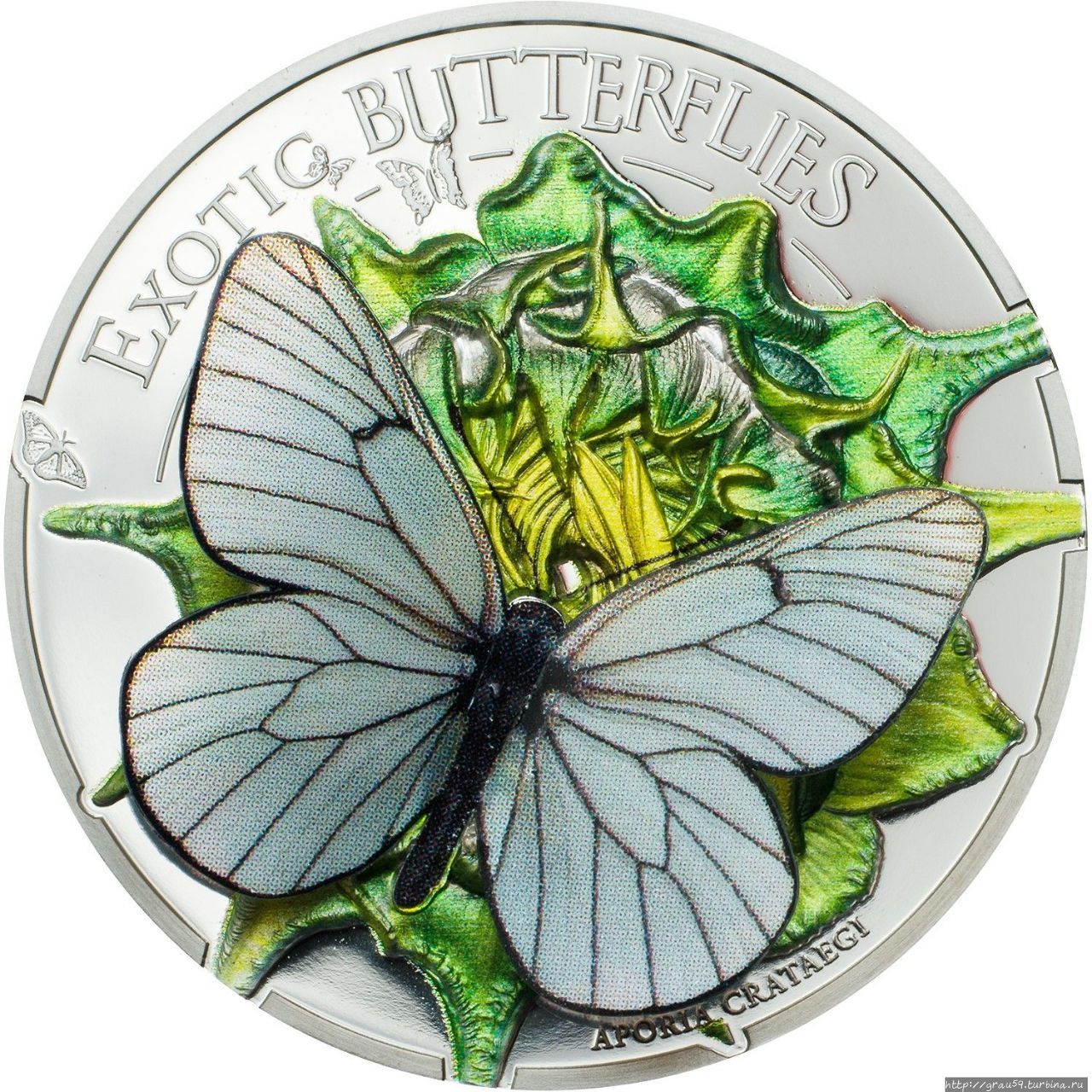 3D-монеты. Экзотические бабочки