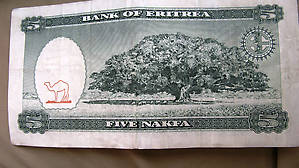 Фикус на купюре