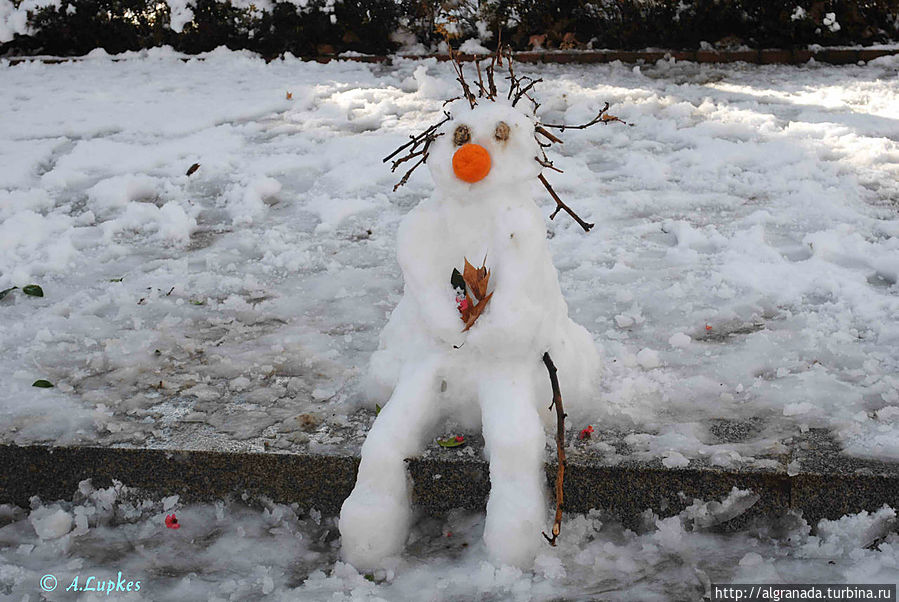Апельсины в снегу Гранада, Испания