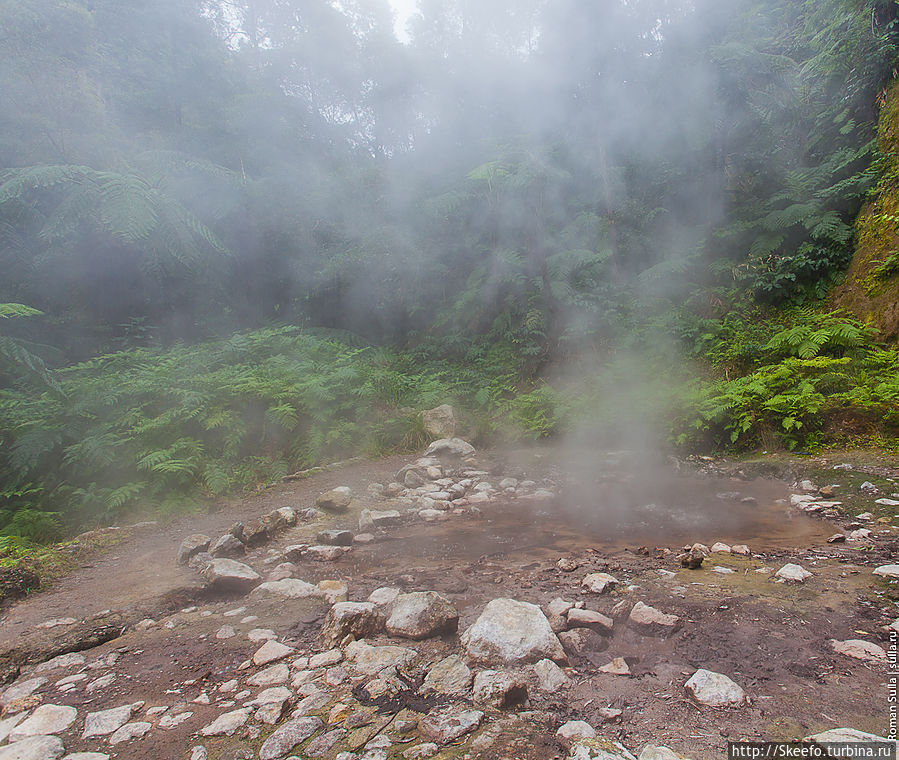 Горячие источники на возвышенности по дороге к озеру Лагоа до Фого.