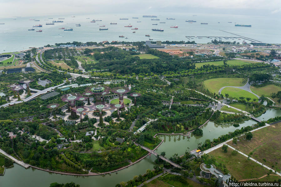Парк Gardens by the Bay Сингапур (город-государство)
