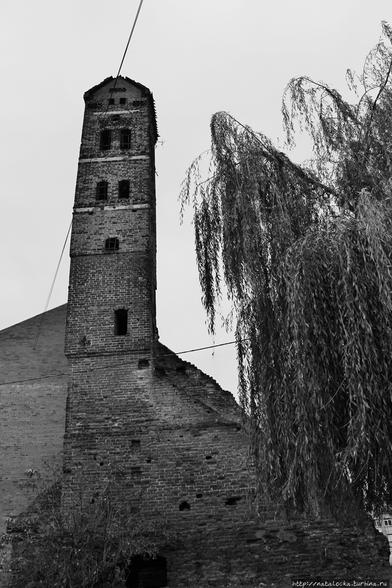 Тени старых замков. Рагнит. Неман, Россия