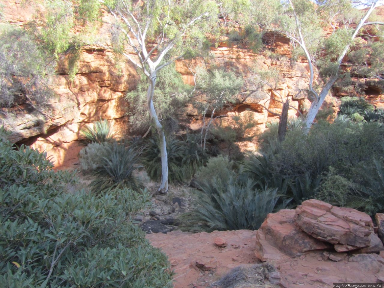 Тропа Кингс Каньон Рим и сад Эдема Петерманн (Кингс-Каньон), Австралия