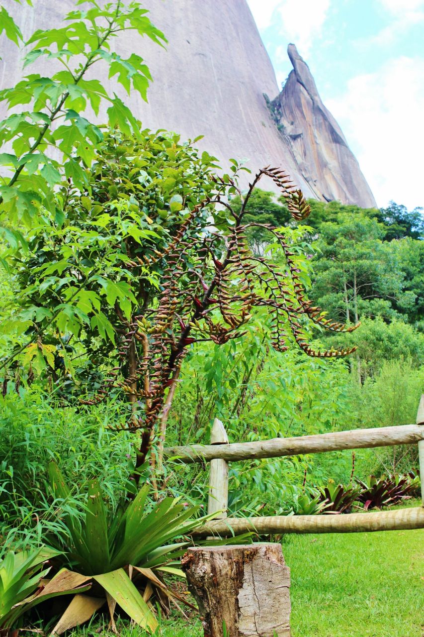 Зона посещения заповедника Педра Азул парк штата, Бразилия