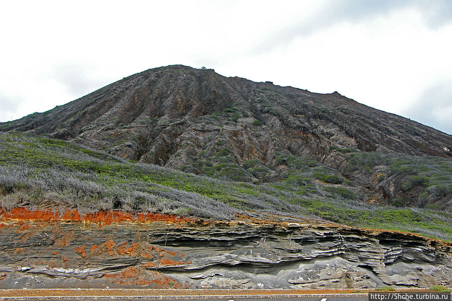 эта площадка прямо на против Koko Crater, знакомой нам Коко-Хеад Остров Оаху, CША