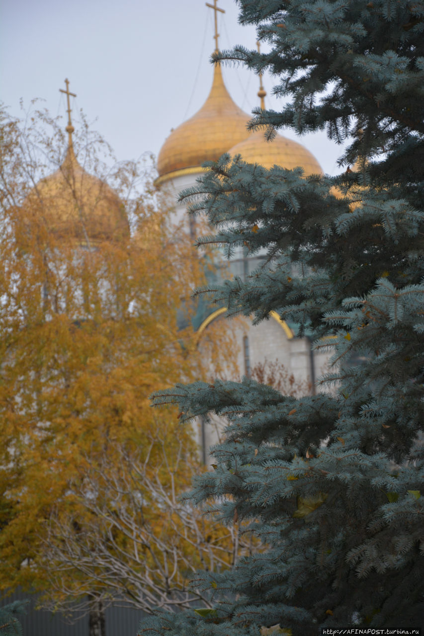 Московский Кремль Москва, Россия