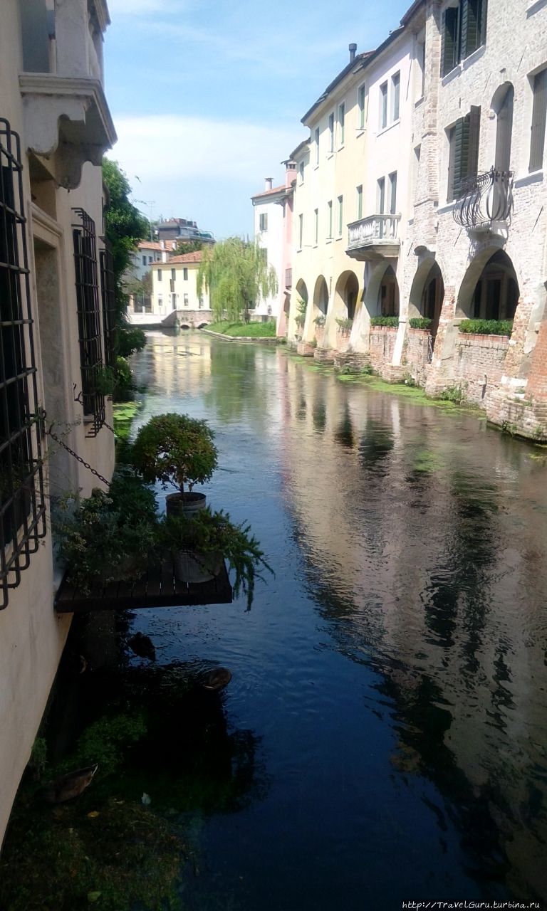 Тревизо: маленькая Венеция Тревизо, Италия