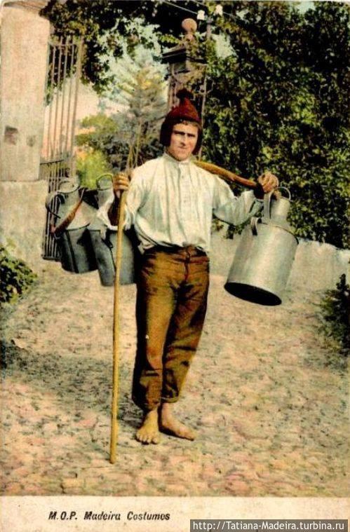 Разносчик молока Регион Мадейра, Португалия