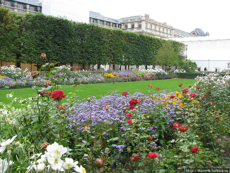 Париж прекрасен в любое время года. Сад Тюильри. Париж, Франция