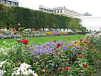 Париж прекрасен в любое время года. Сад Тюильри.