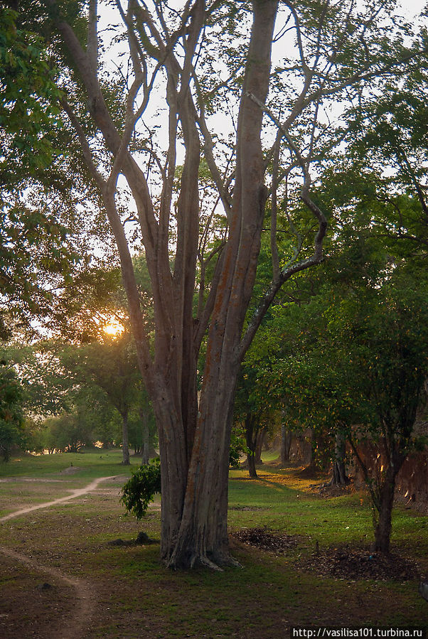 Парк вокруг Анкор Вата