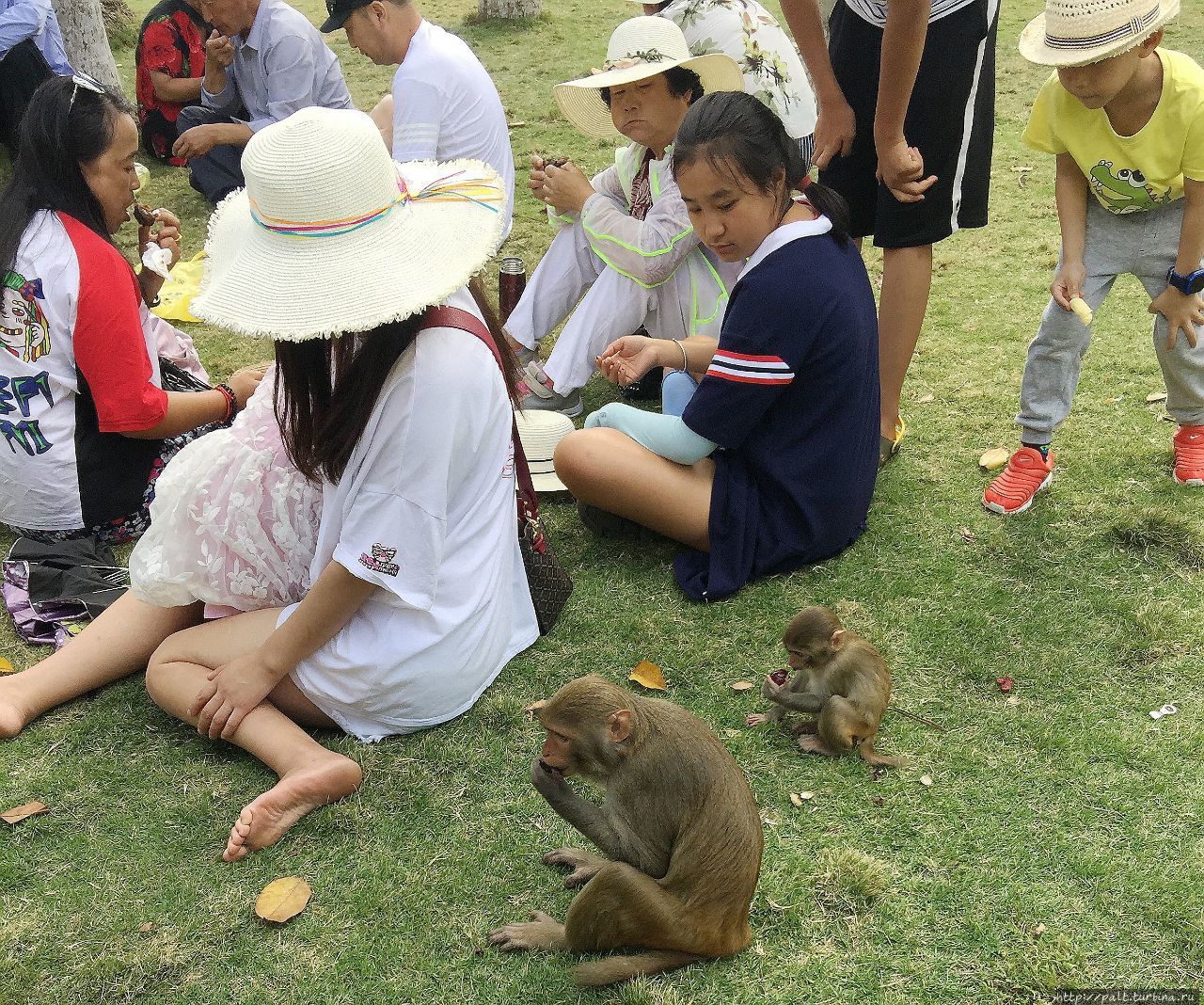 Остров обезьян и термальные источники Санья, Китай