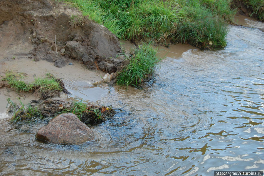 Отдохнуть на Истринском водохранилище Трусово, Россия