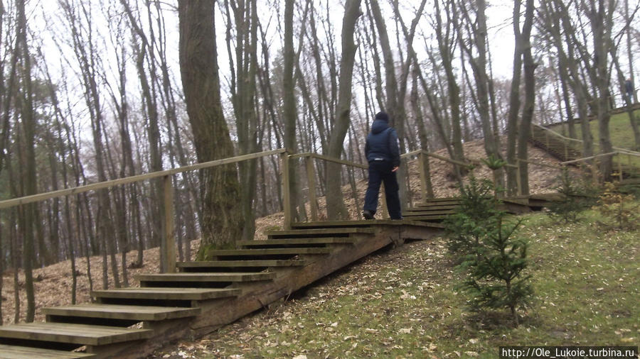 Деревянная лестница  по периметру для круглосуточной охраны. Новые Петровцы, Украина
