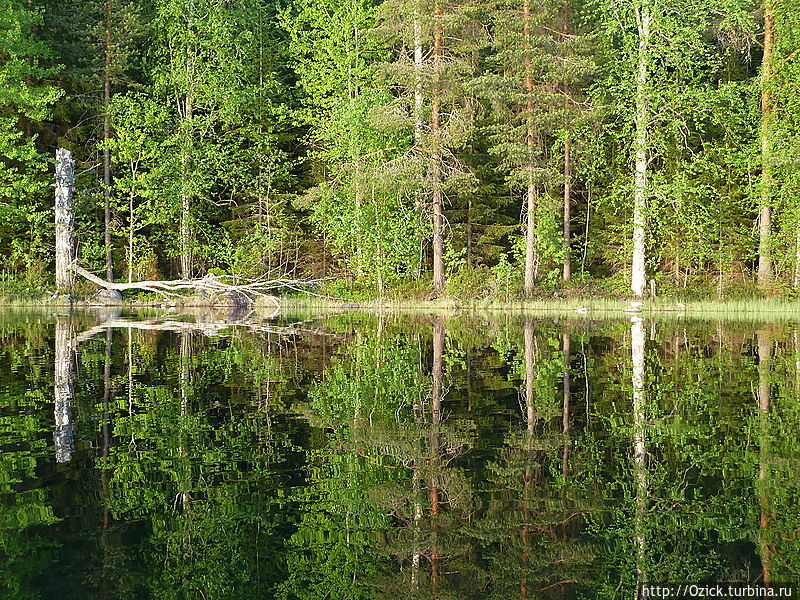 Царица озер Ювяскюля, Финляндия