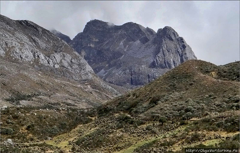Ориентиром служит вот эта гора: скала Campanilla Nеgro — «Черный Колокол» Эль-Кокуй Национальный Парк, Колумбия