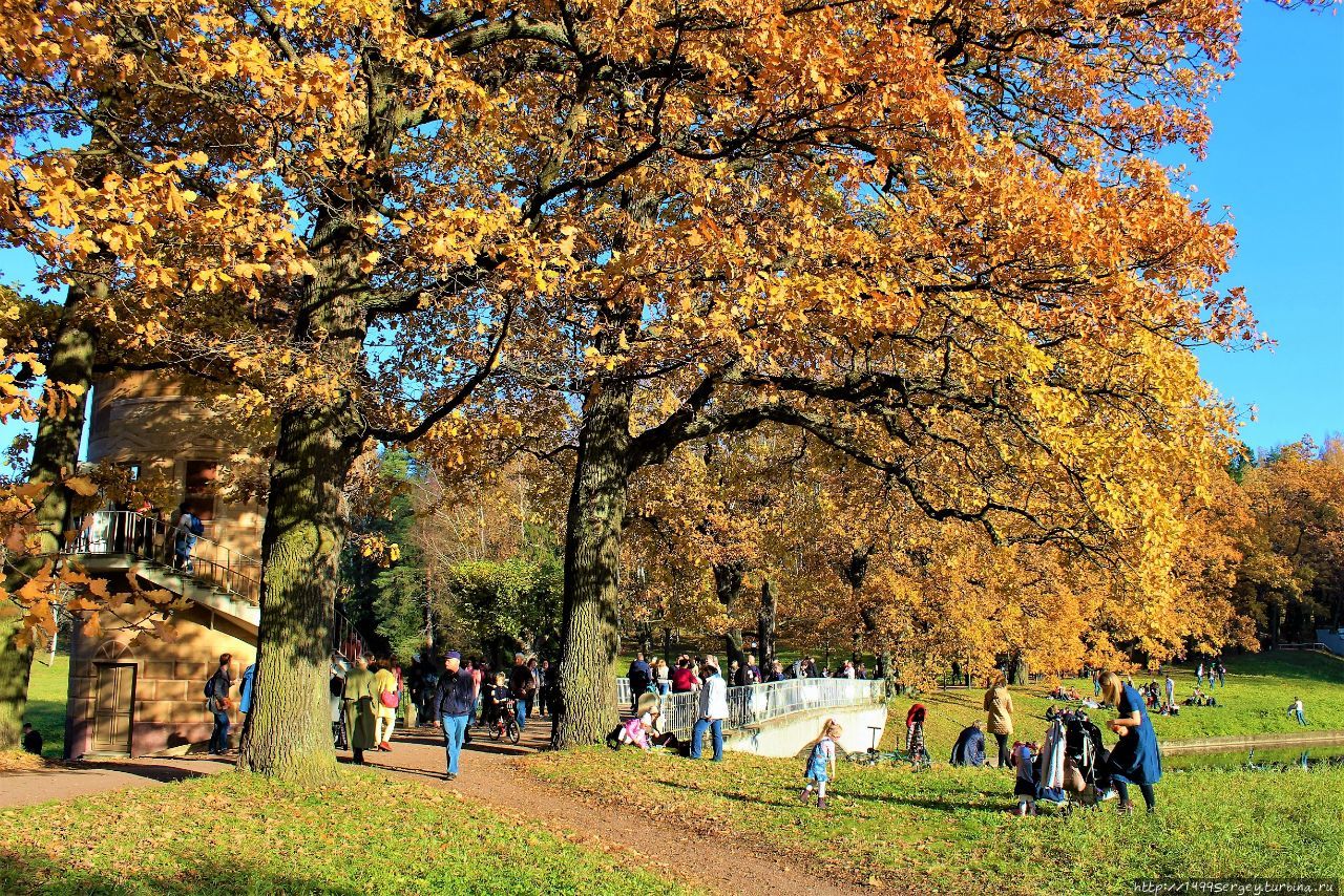Золотая Осень в Павловском парке #4 Всё самое, самое яркое