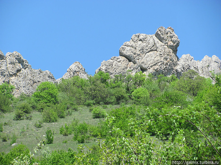 Хранитель тайн Караби.