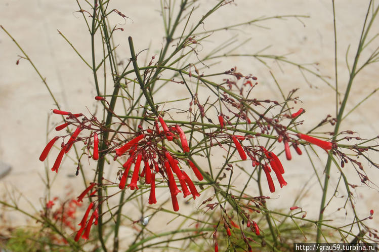 Лимассол, Кипр