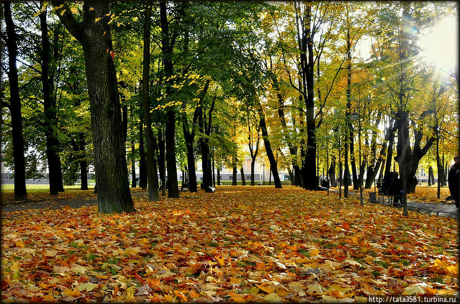 Осенний Михайловский сад Санкт-Петербург, Россия