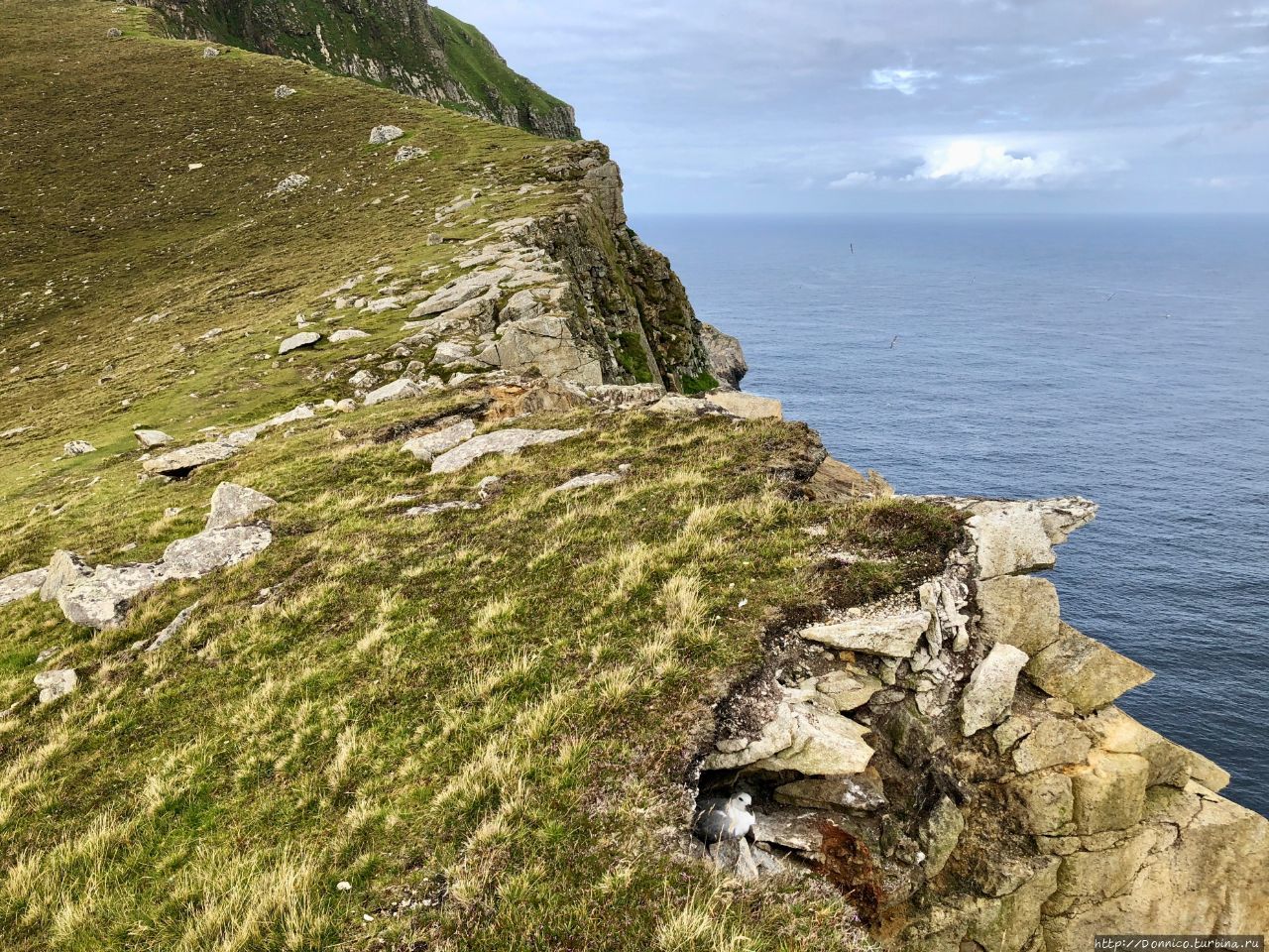 Последняя тайна Европы: Сент-Килда под тенью Пингвинуса Остров Хирта, архипелаг Сент-Килда, Великобритания