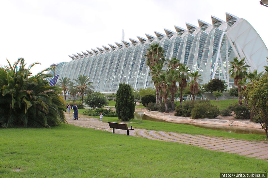 Museo de las Ciencias Principe Felipe