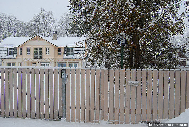 Среди этого сосняка скрываются милые домики с двориками. Таллин, Эстония
