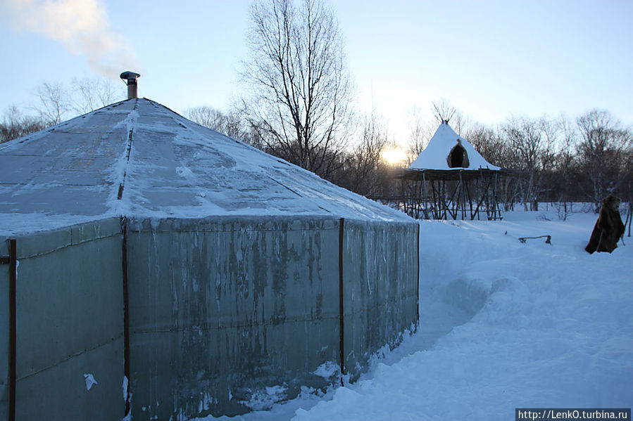 Снежные псы Петропавловск-Камчатский, Россия