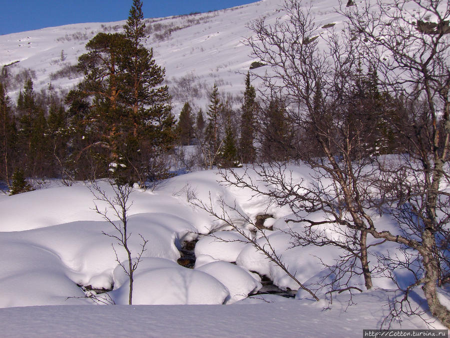 Долина ручья Часнойок Хибины Национальный Парк, Россия