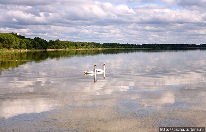 Беларусь фрагменты и зарисовки матушки природы Борисов, Беларусь