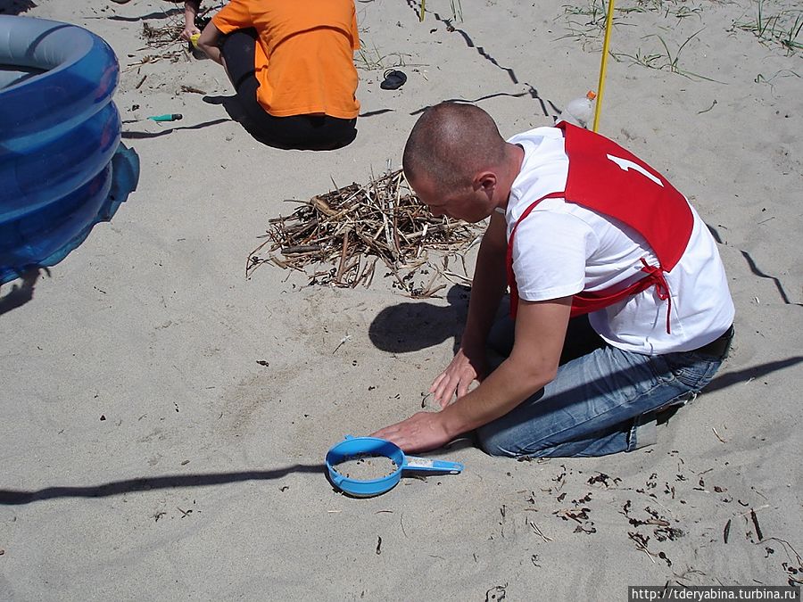 Сначала необходимо найти камешки янтаря в песке Светлогорск, Россия