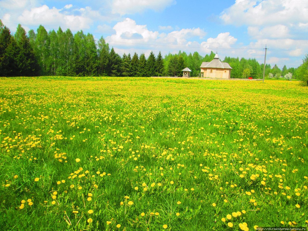 Центральная беларусь