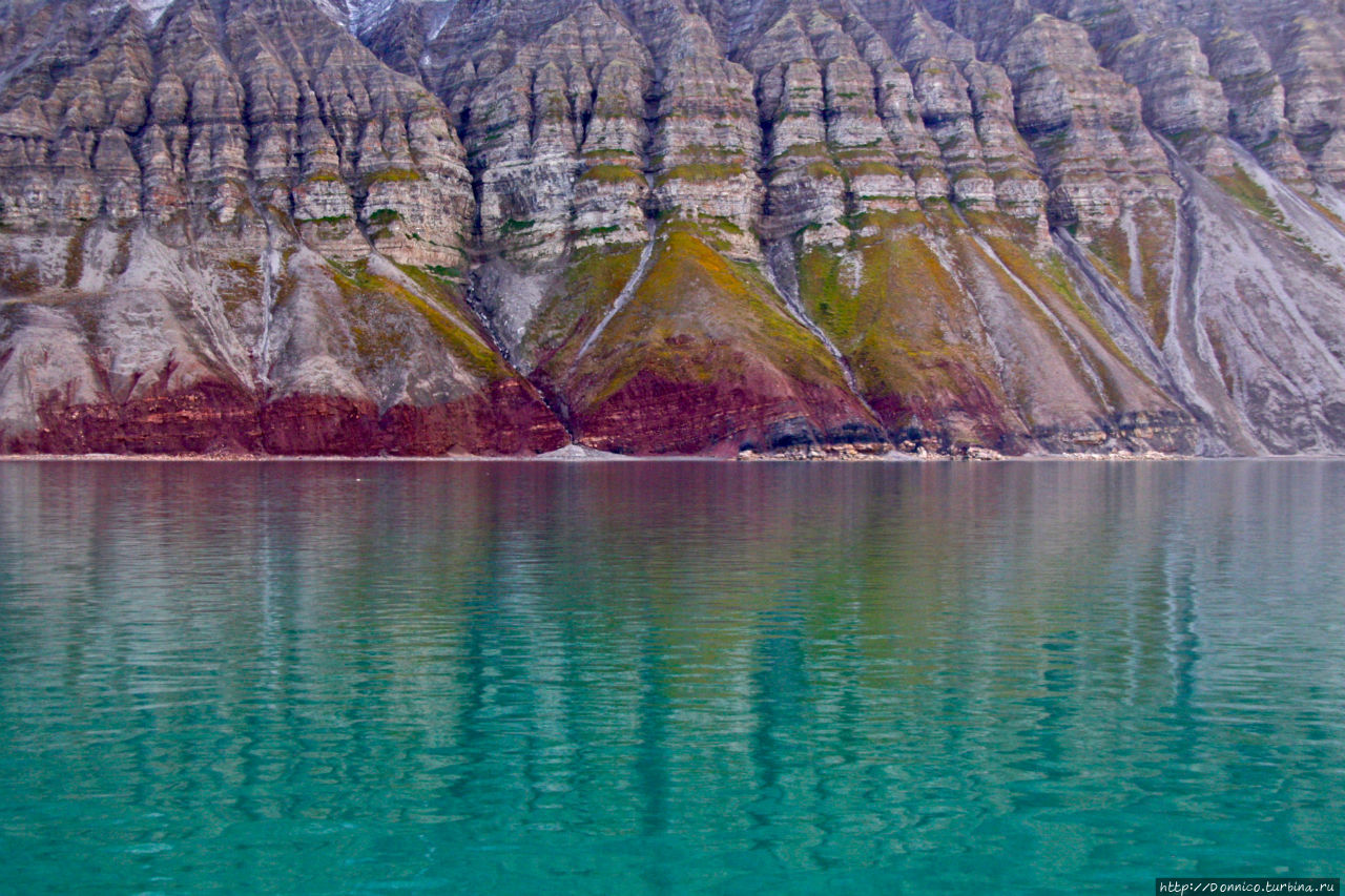 И снились мне тупики, топорики, туканы… Нордре Исфьорден Национальный Парк, Свальбард