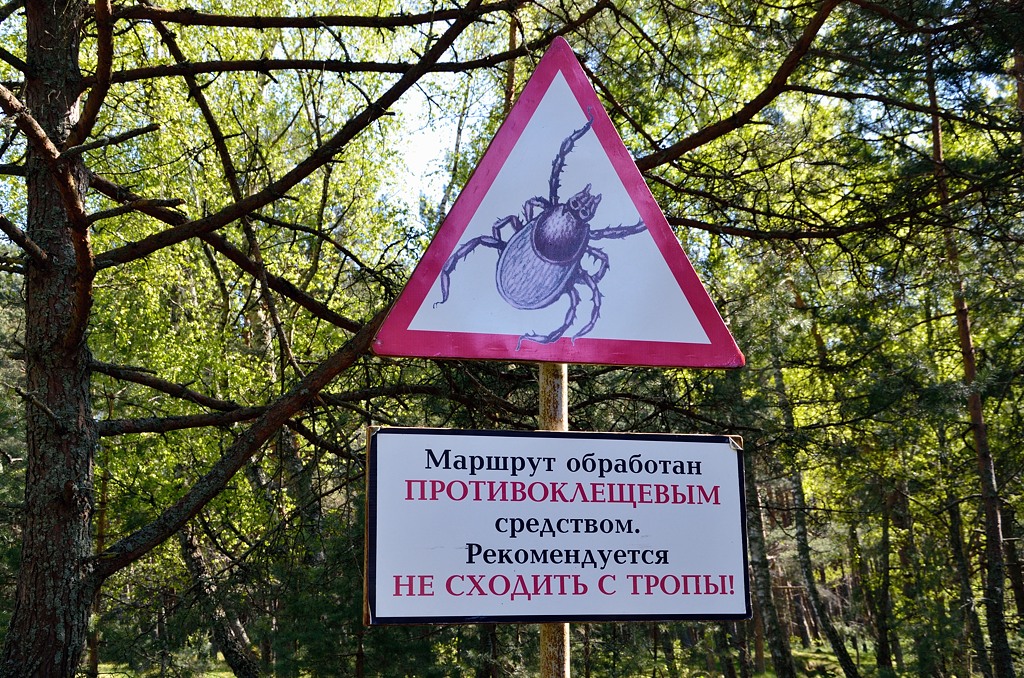 Ж Куршская Коса Национальный Парк, Россия