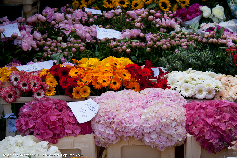 Миллион цветов Фельдкирх, Австрия