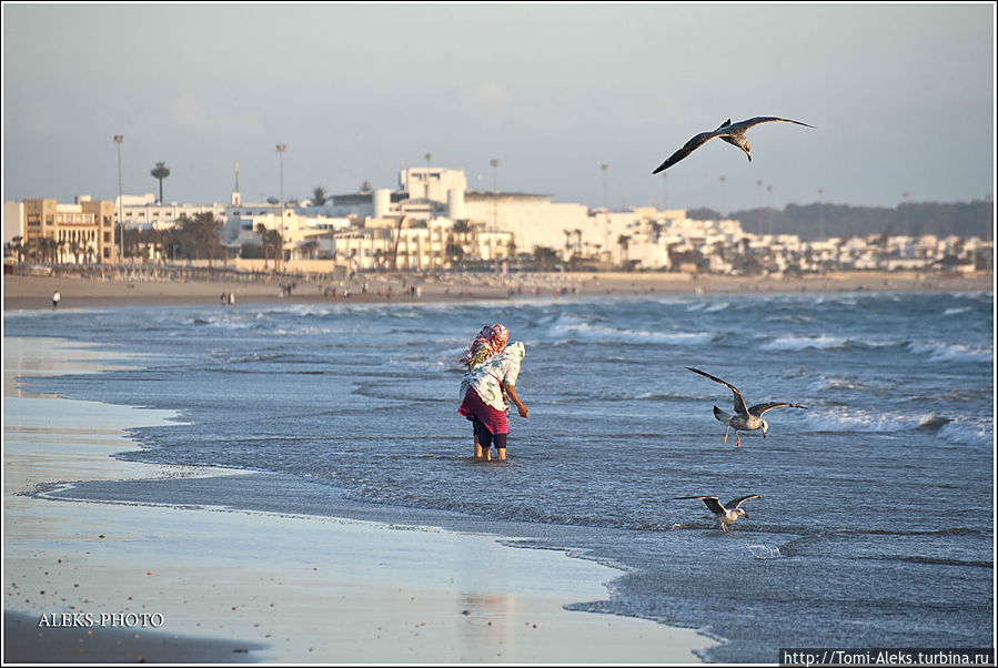 Вода Атлантики у берегов Марокко совсем не располагает к купанию. Большие волны и холодное течение — это на любителя...
*