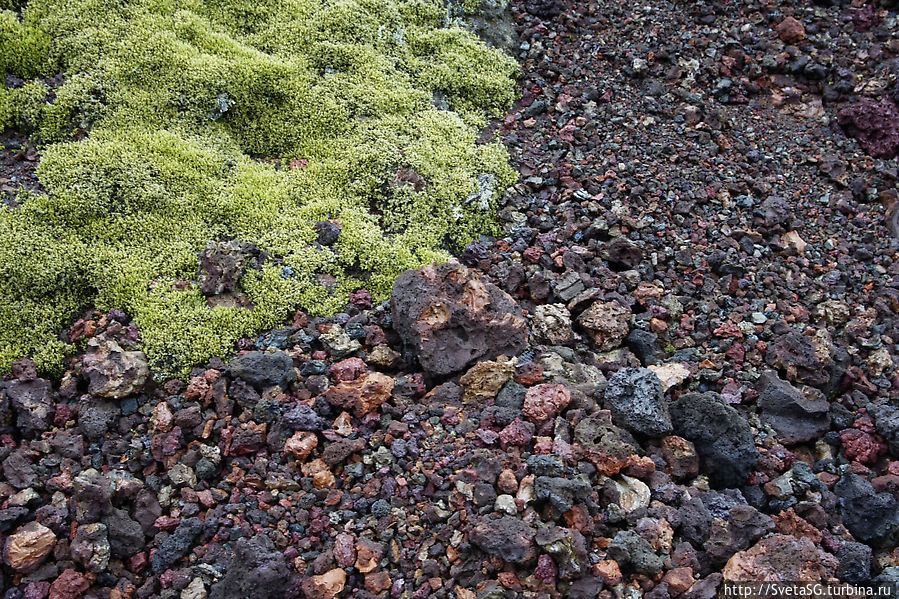 А вот кому камней! Почти драгоценных Южная Исландия, Исландия