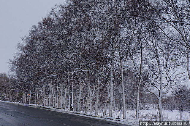 У природы нет плохой погоды Южно-Сахалинск, Россия