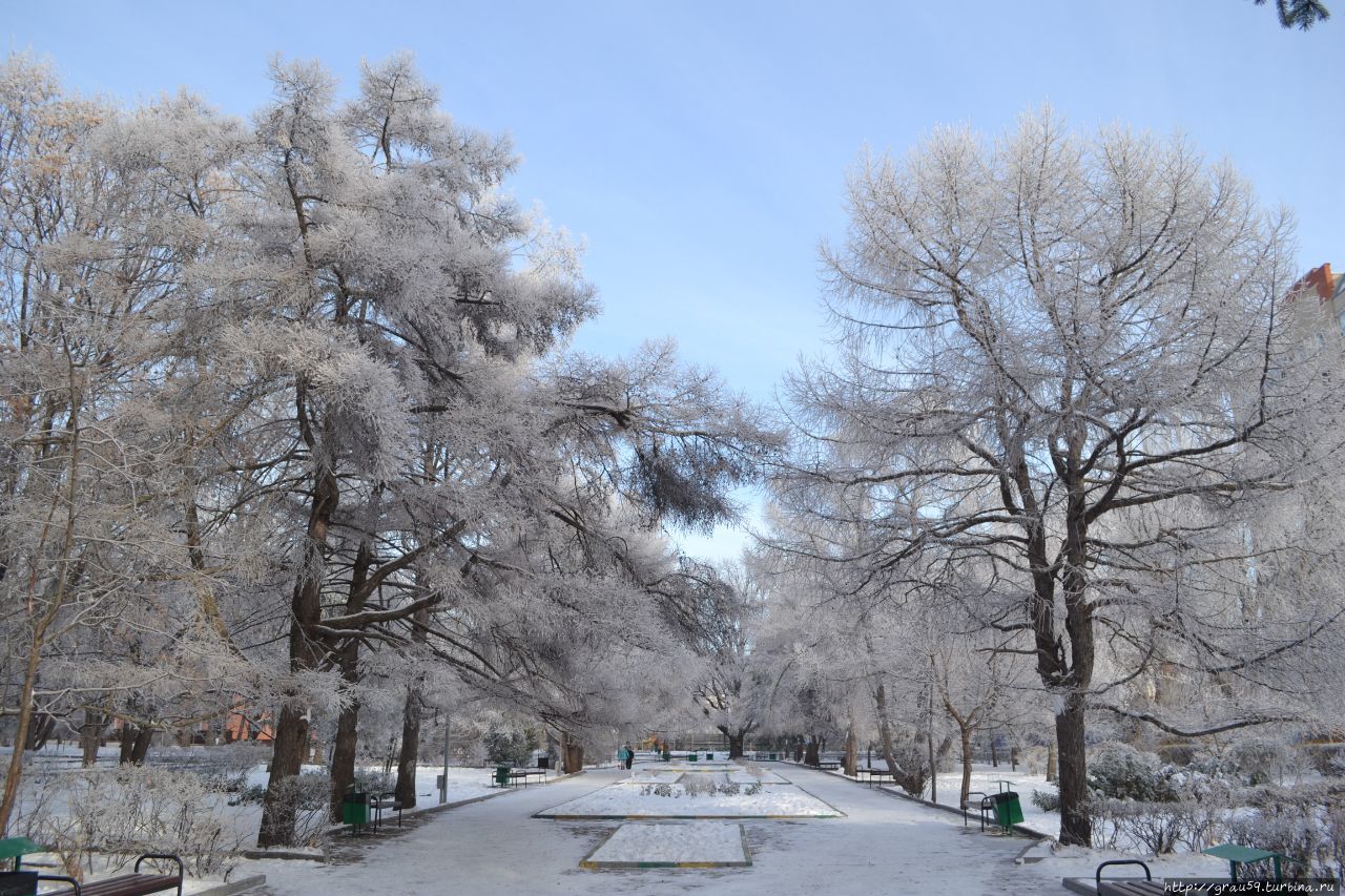 Городской парк культуры и отдыха 