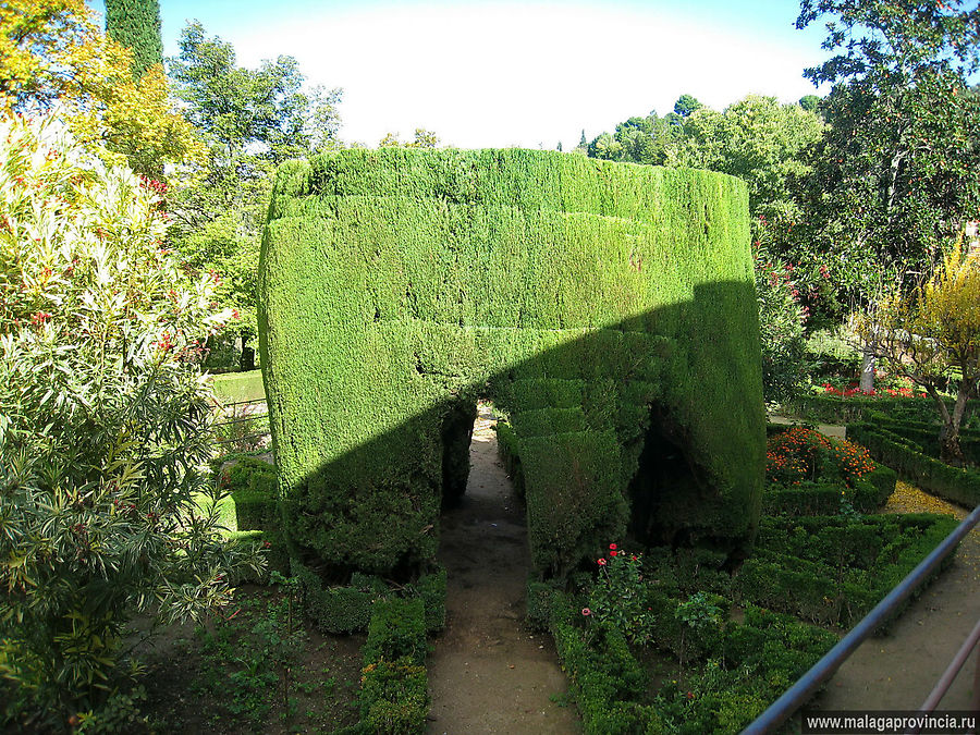 Сады Генералифе в Альгамбре Гранада, Испания